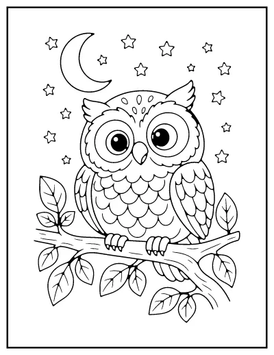 Owl on a Branch at Night coloring page – printable line art